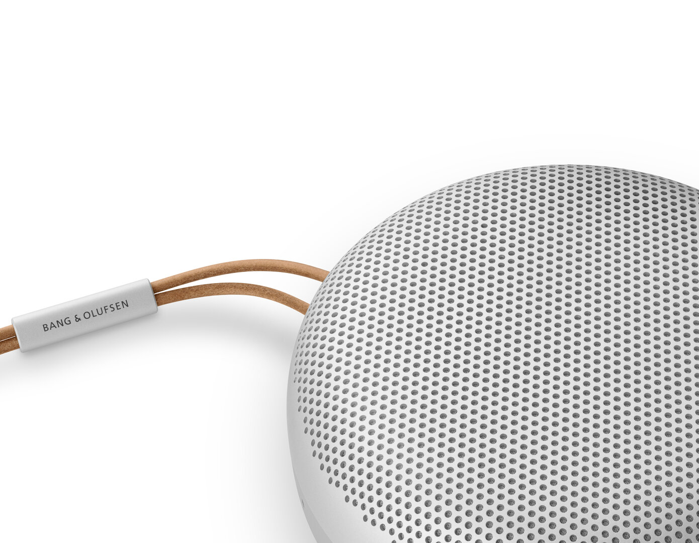 Bang & Olufsen Beosound A1 2nd Gen