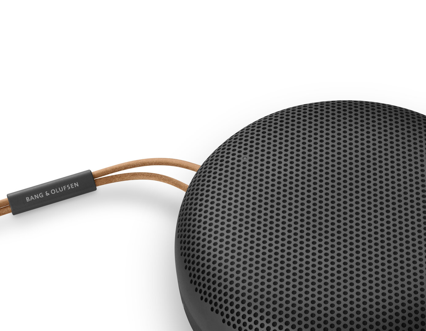 Bang & Olufsen Beosound A1 2nd Gen